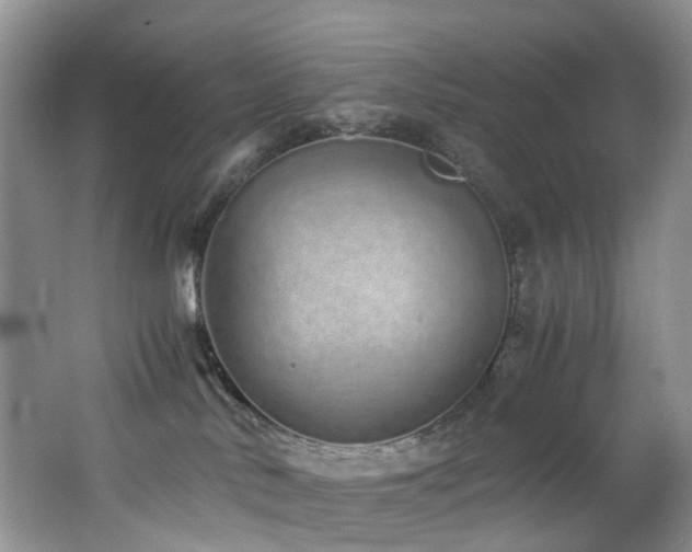 X0000062800042200512221416
