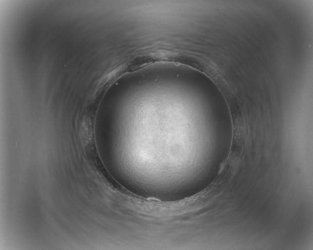 X0000062800043200512221416