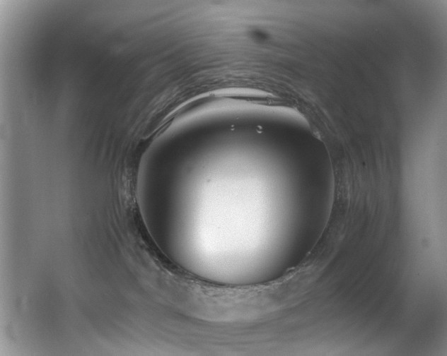 X0000062800044200512221416