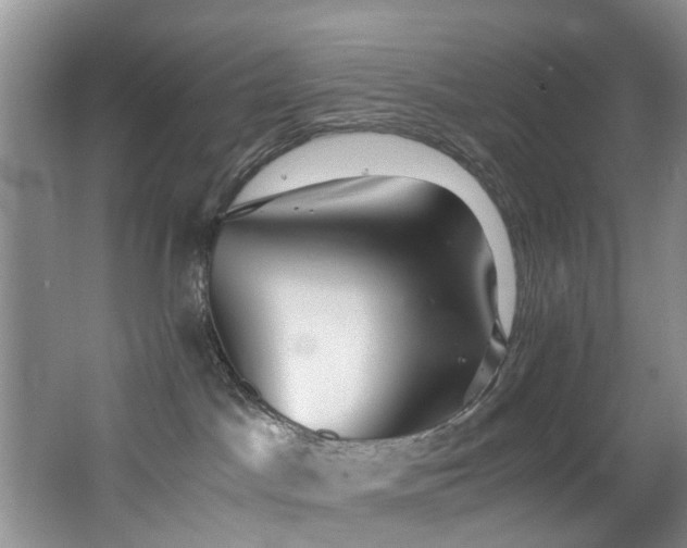 X0000062800045200512221416