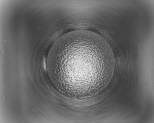 X0000062800046200512221416