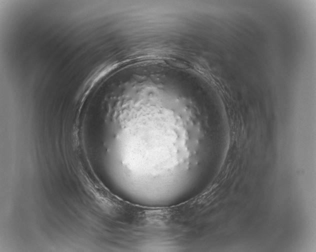 X0000062800050200512221415