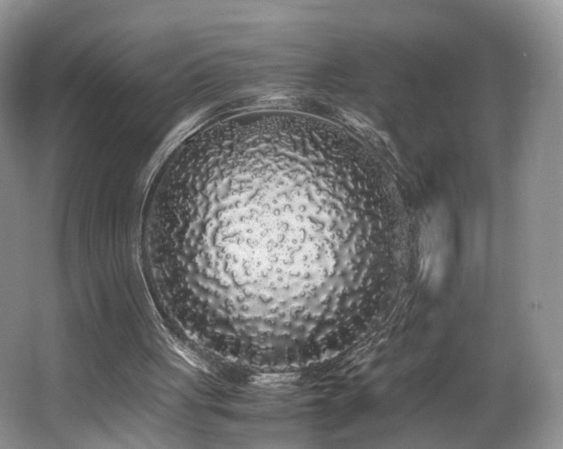 X0000062800051200512221415