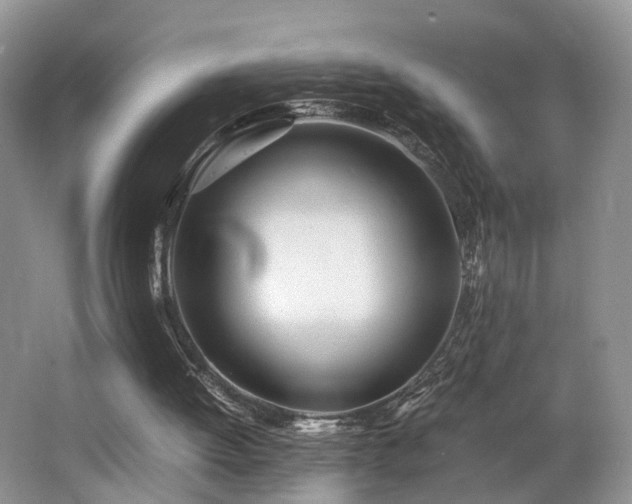 X0000062800052200512221415