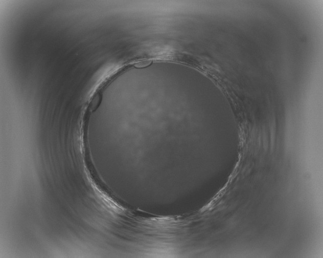 X0000062800054200512221415