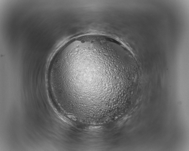 X0000062800055200512221415
