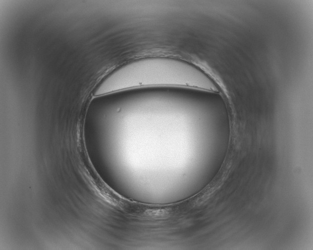 X0000062800057200512221415