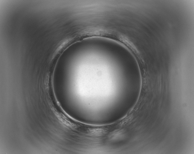 X0000062800058200512221415