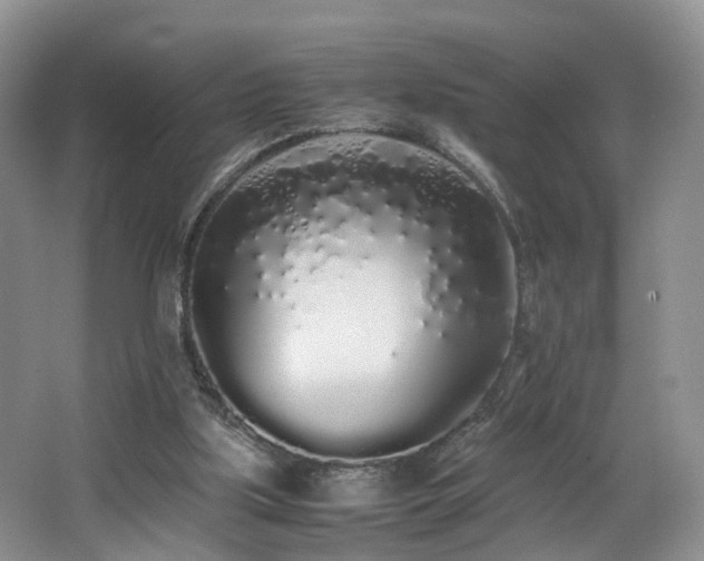 X0000062800059200512221415