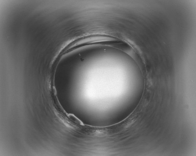 X0000062800060200512221415