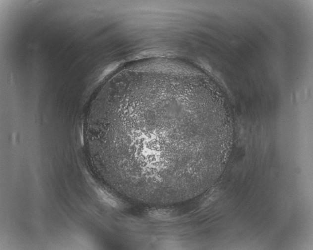 X0000062800062200512221415