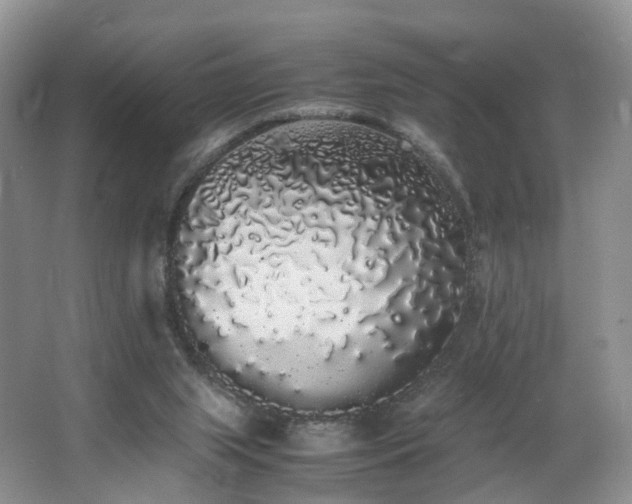 X0000062800063200512221415