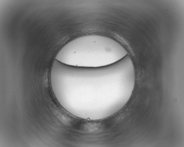 X0000062800065200512221415