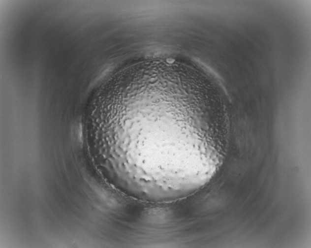 X0000062800067200512221415