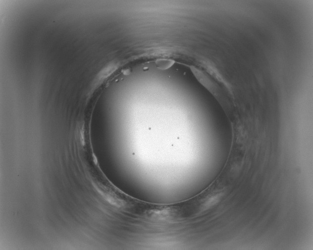 X0000062800068200512221416