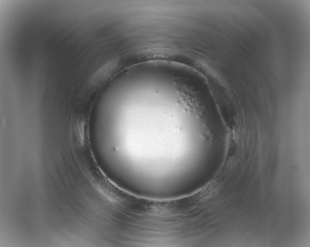 X0000062800070200512221416
