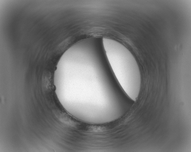 X0000062800073200512221416