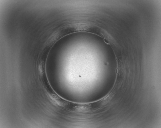X0000062800074200512221416