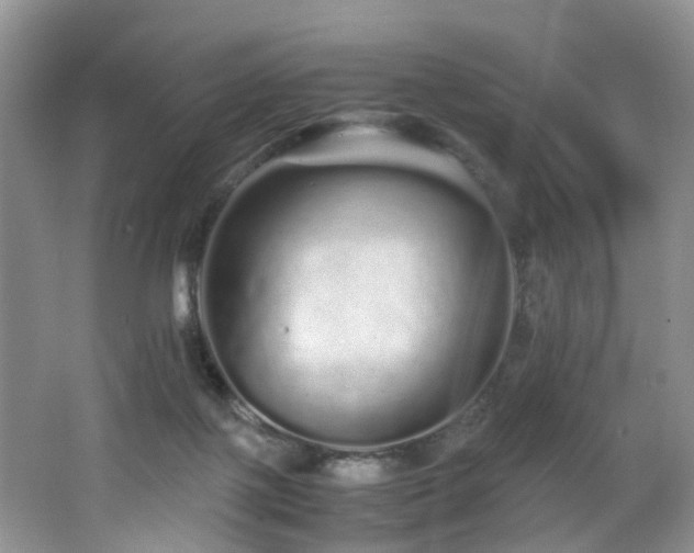 X0000062800075200512221416