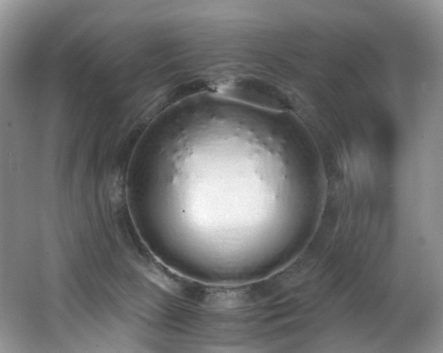 X0000062800081200512221416