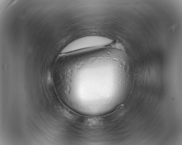 X0000062800089200512221416