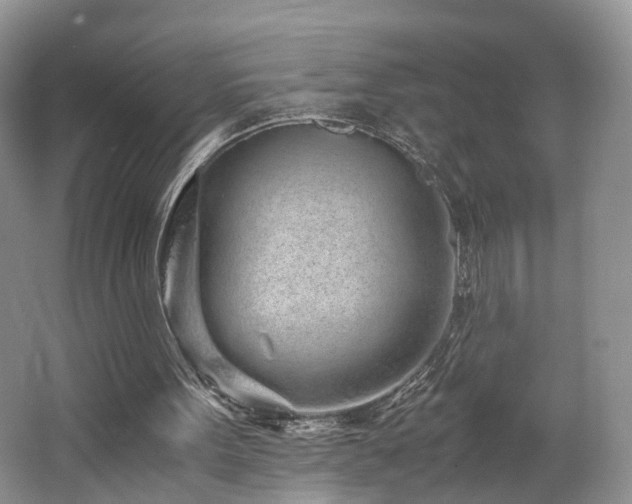 X0000062800099200512221415