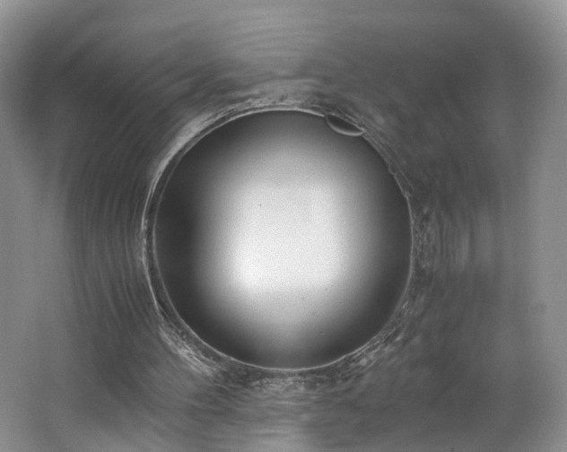 X0000062800100200512221415