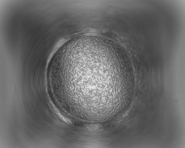 X0000062800102200512221415