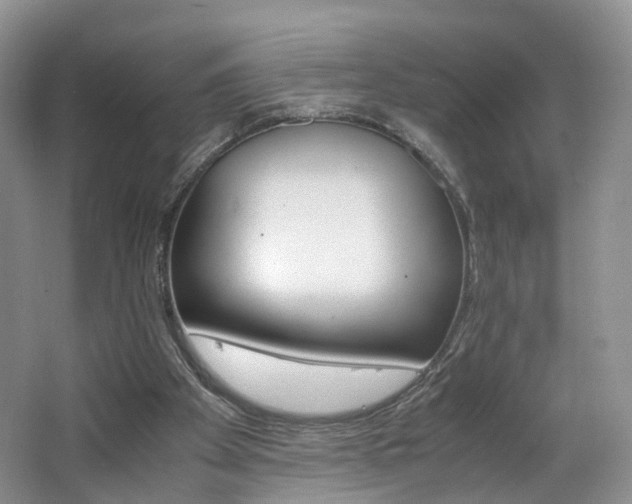 X0000062800105200512221415