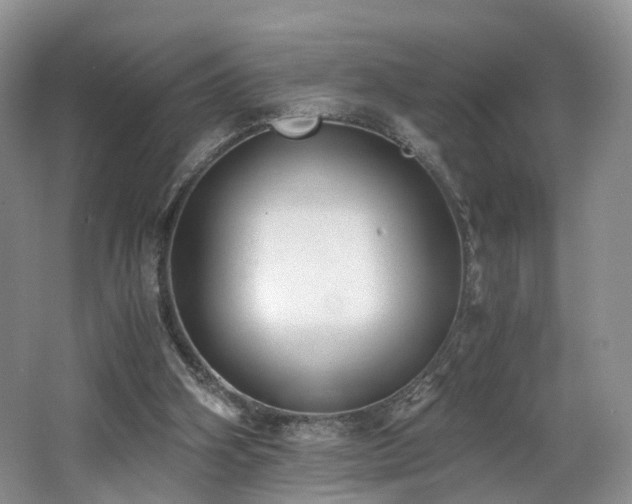X0000062800106200512221415