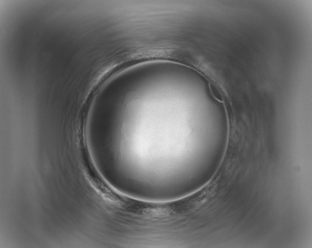 X0000062800107200512221415