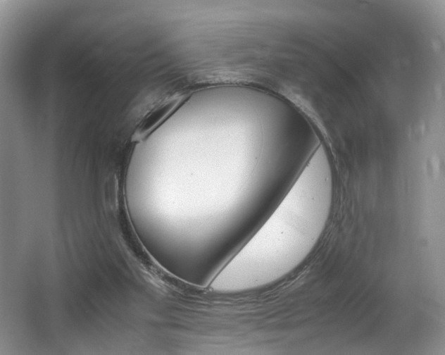 X0000062800109200512221415