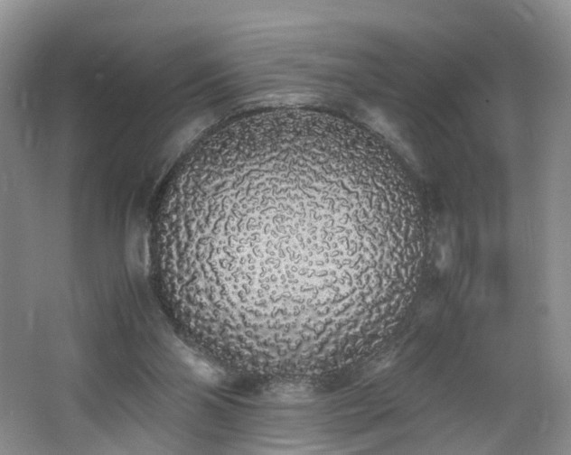 X0000062800110200512221415