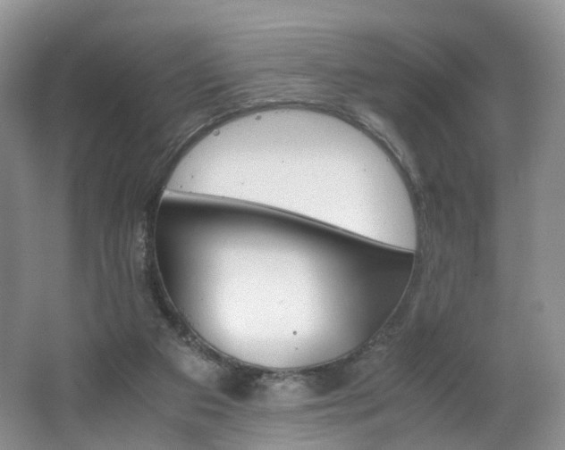 X0000062800113200512221415