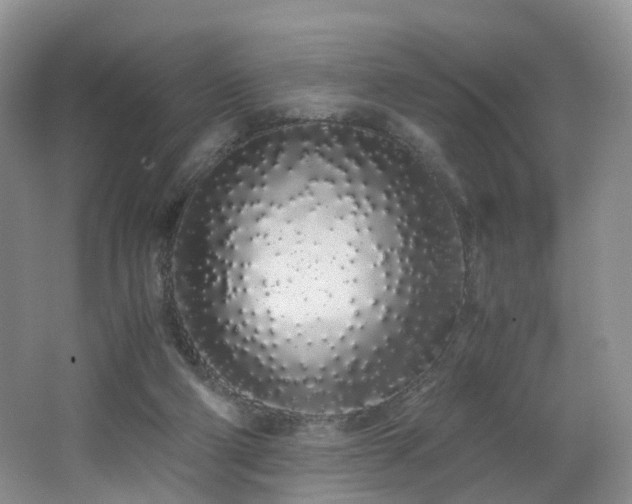 X0000062800114200512221415