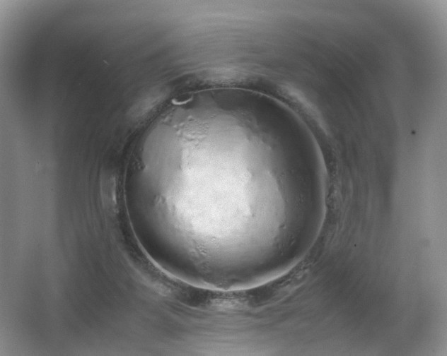X0000062800115200512221415
