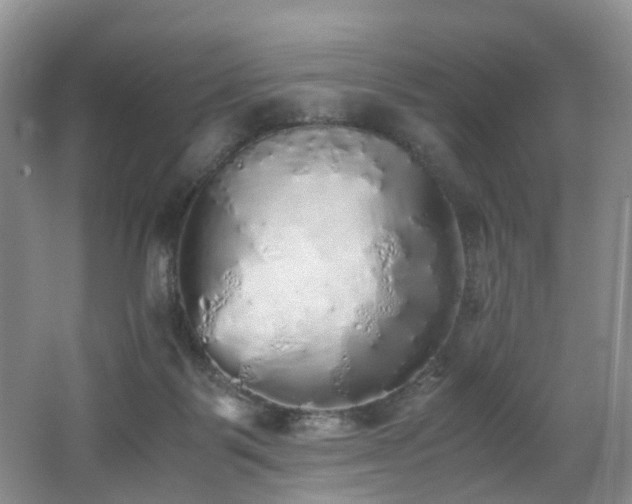 X0000062800123200512221415