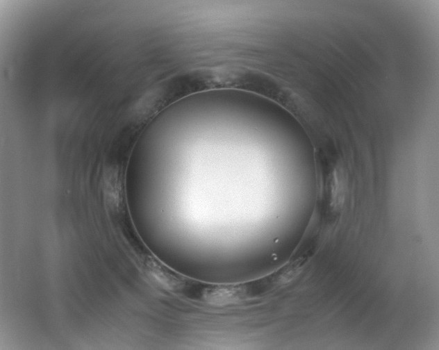 X0000062800129200512221415