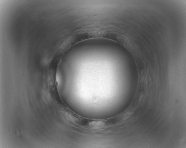X0000062800133200512221415