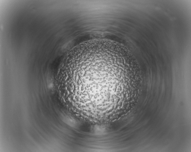 X0000062800134200512221414