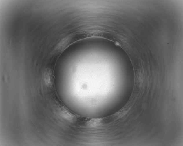 X0000062800138200512221414