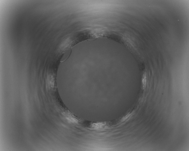 X0000062800139200512221414