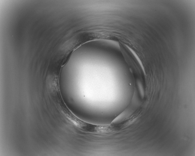 X0000062800141200512221414