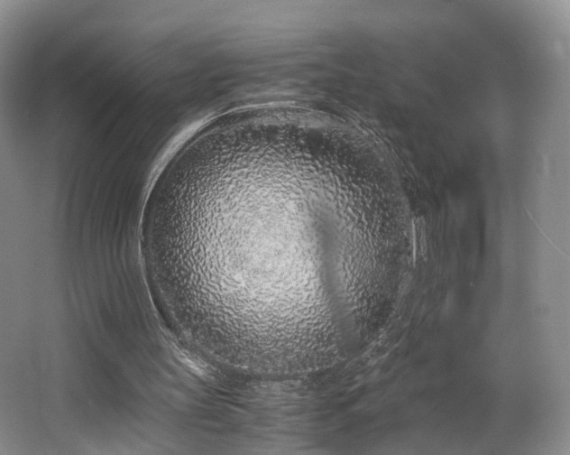 X0000062800147200512221414