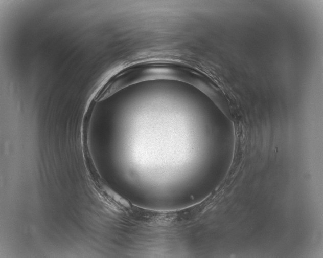 X0000062800148200512221414