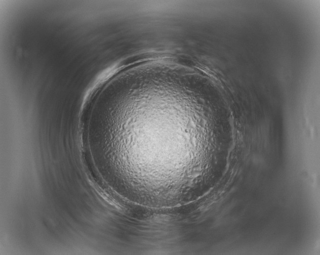 X0000062800149200512221414
