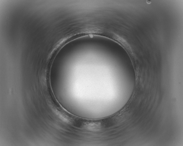 X0000062800155200512221414
