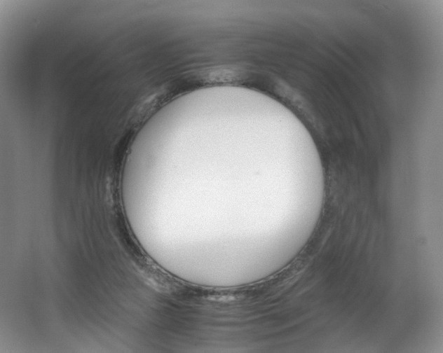X0000062800161200512221414