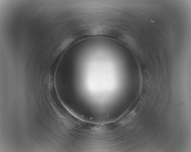 X0000062800164200512221414