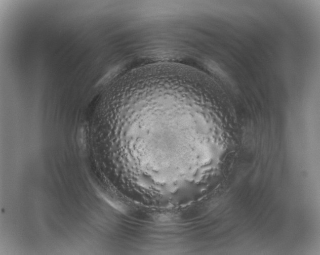 X0000062800165200512221414